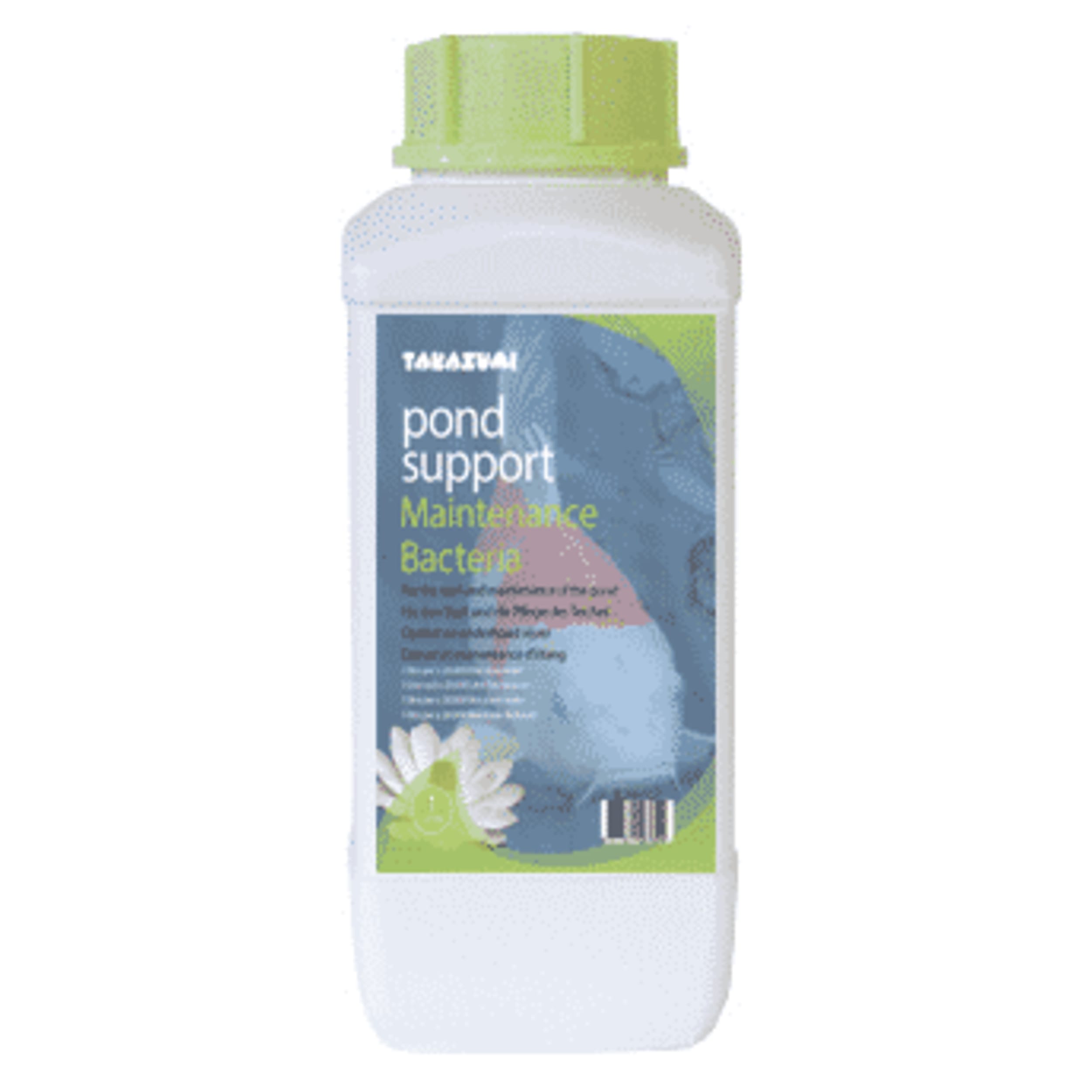 Fles, Lotion, Kruiden, Plant